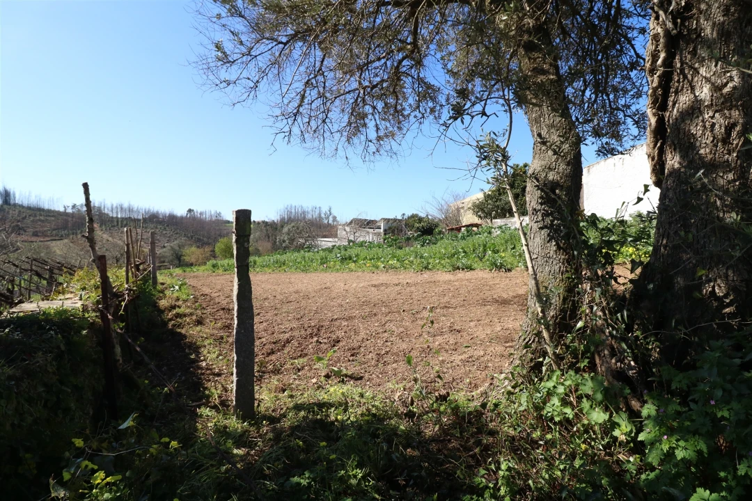Terreno para Venda em Canelas e Fermelã Foto 6