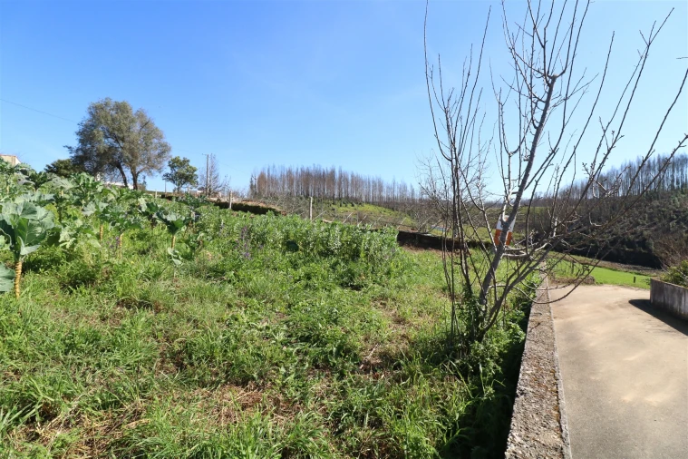Terreno para Venda em Canelas e Fermelã Foto 2