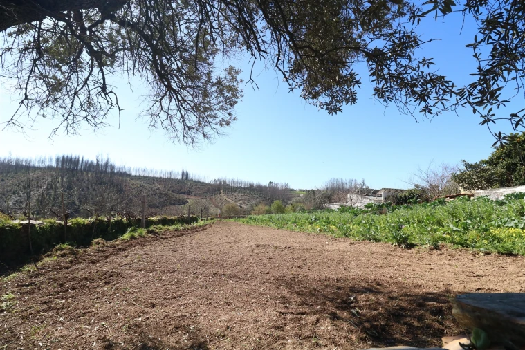 Terreno para Venda em Canelas e Fermelã Foto 5