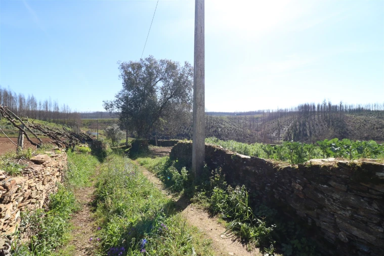Terreno para Venda em Canelas e Fermelã Foto 3