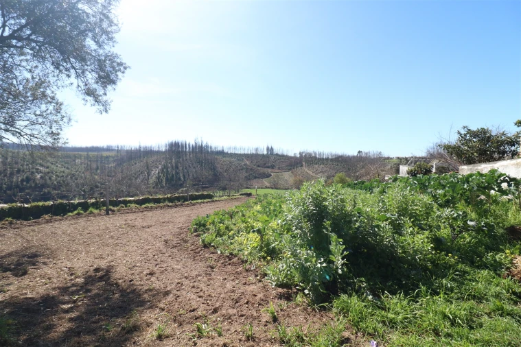 Terreno para Venda em Canelas e Fermelã Foto 4