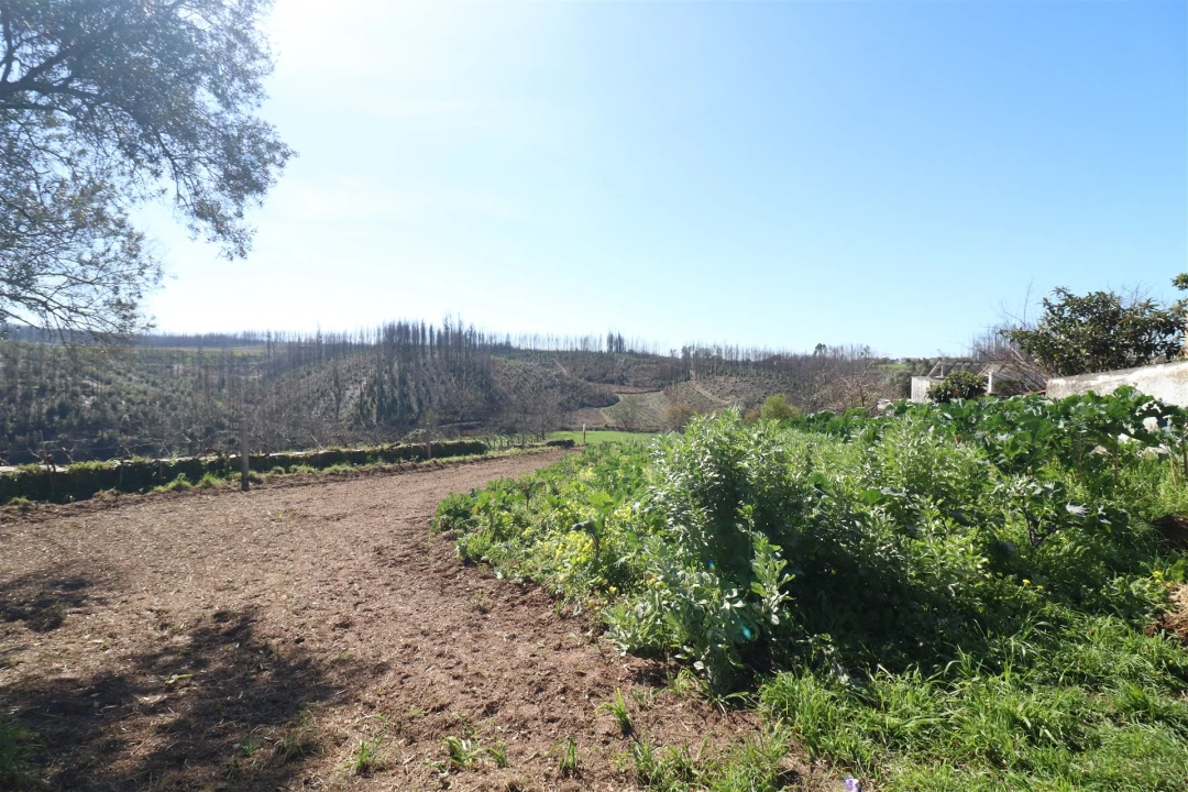 Terreno para Venda em Canelas e Fermelã Foto 4