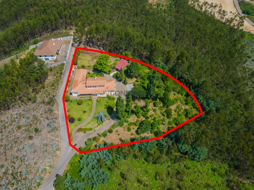 Moradia T3 para Venda em Ossela Foto 34