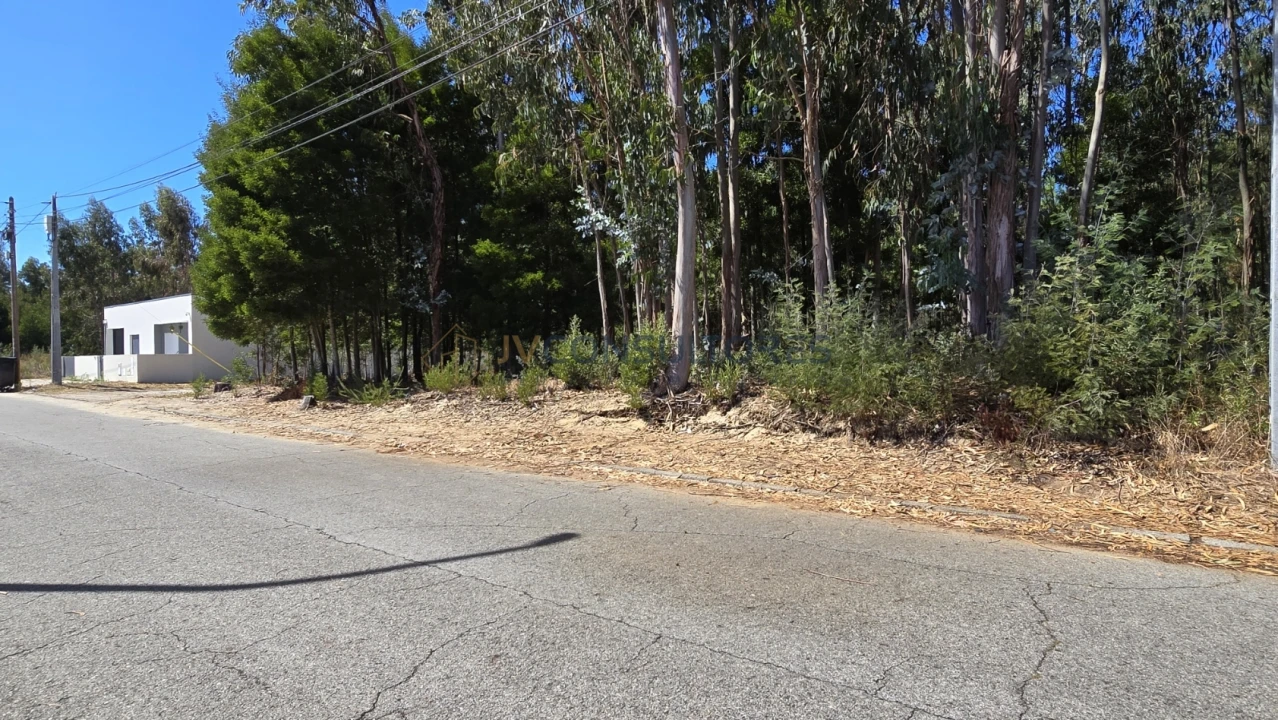 Terreno para Venda em Beduído e Veiros Foto 13