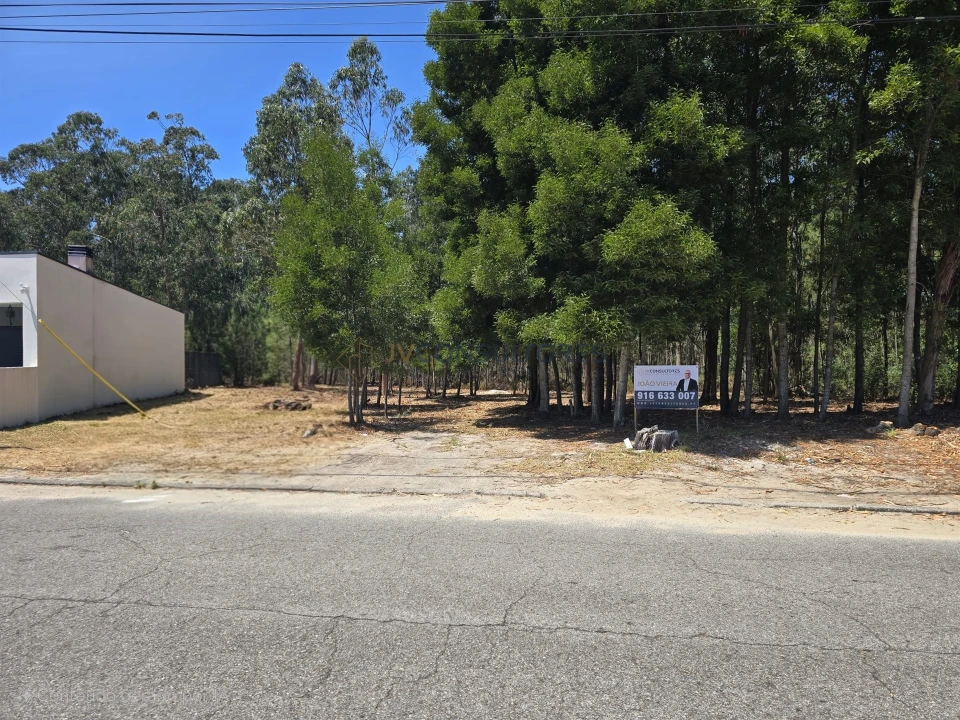 Terreno para Venda em Beduído e Veiros Foto 6