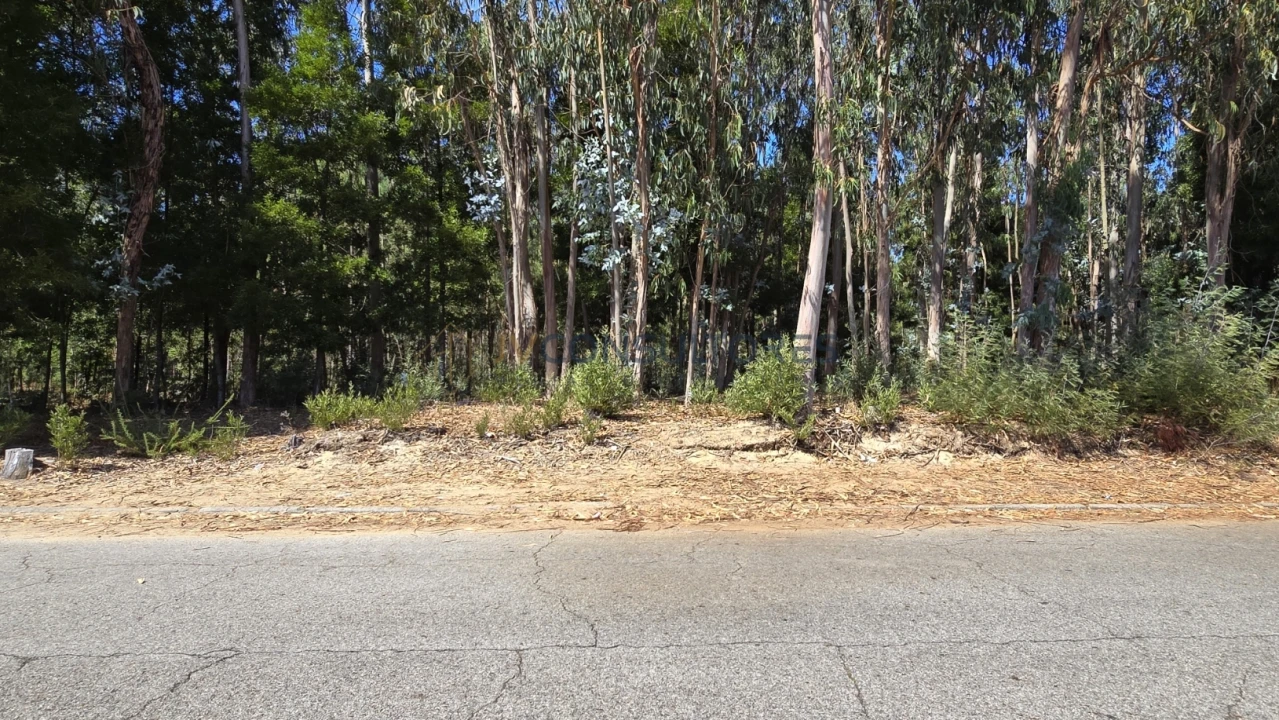 Terreno para Venda em Beduído e Veiros Foto 11
