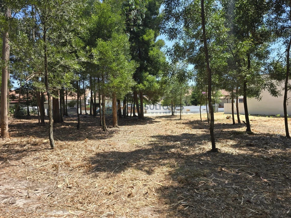 Terreno para Venda em Beduído e Veiros Foto 4
