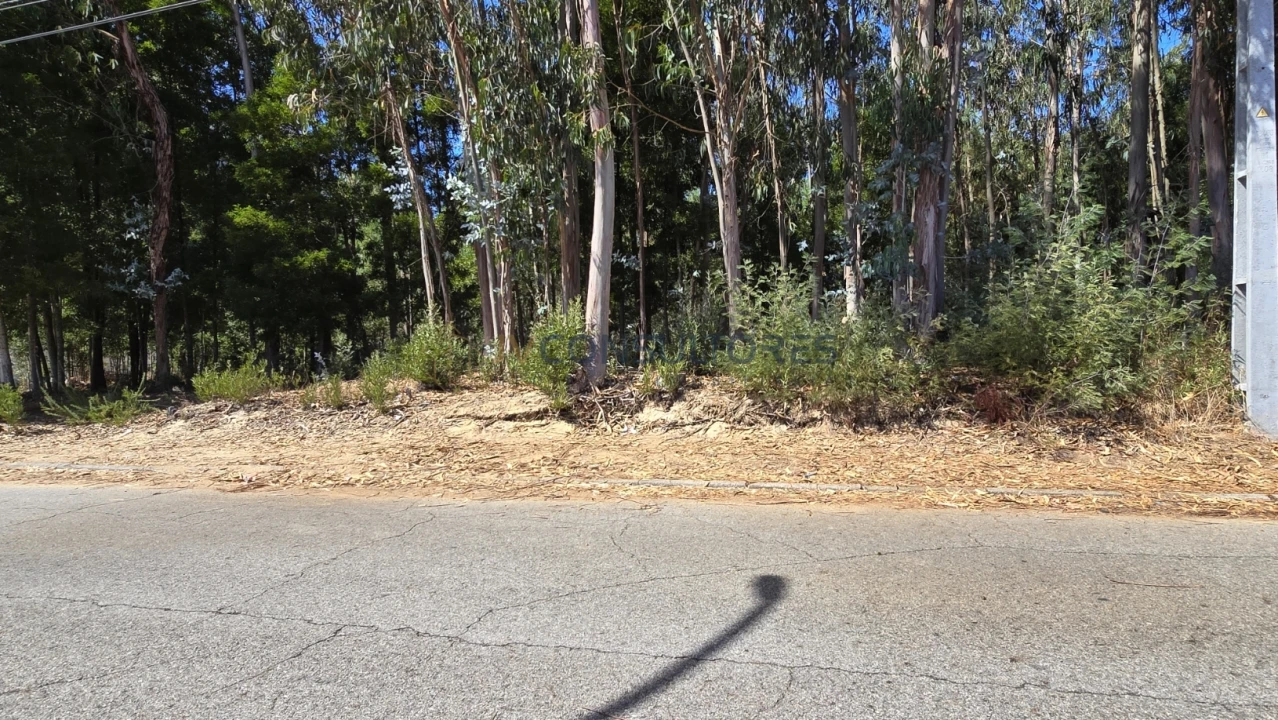 Terreno para Venda em Beduído e Veiros Foto 12