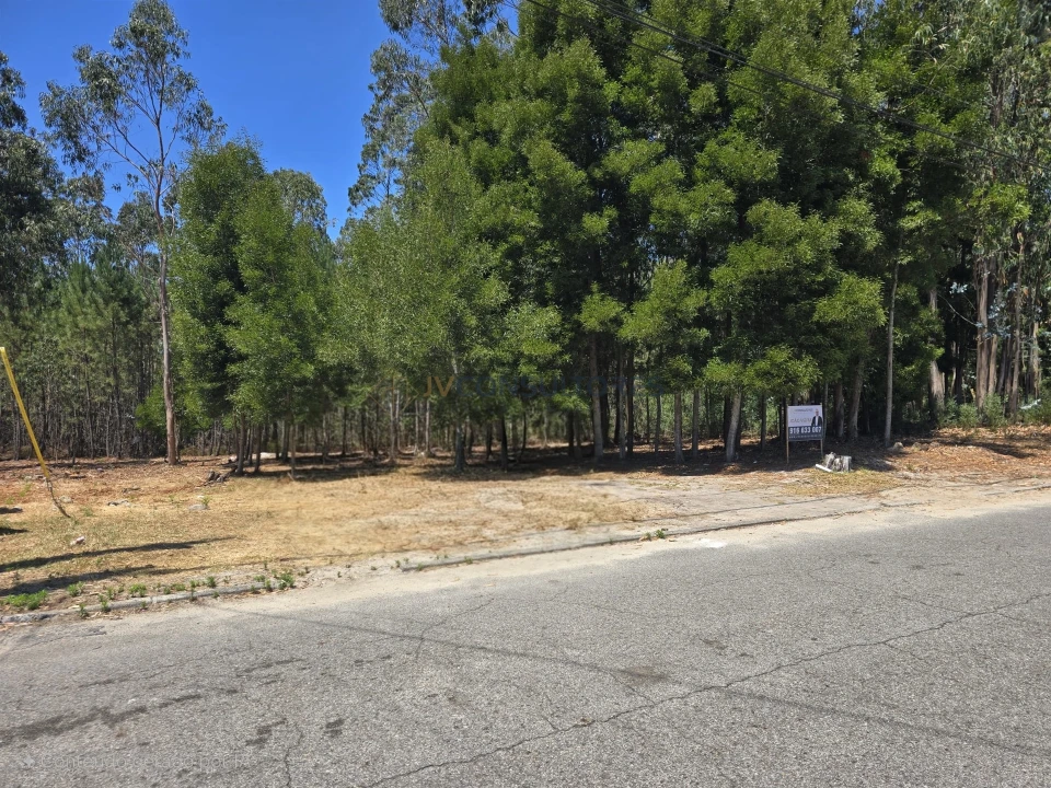 Terreno para Venda em Beduído e Veiros Foto 1
