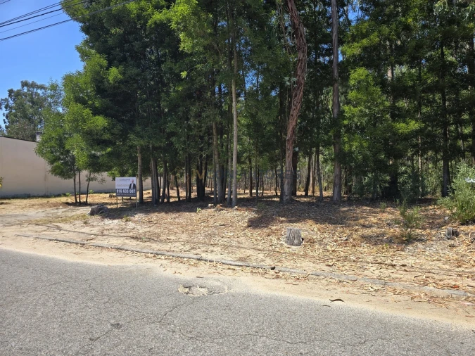 Terreno para Venda em Beduído e Veiros Foto 5