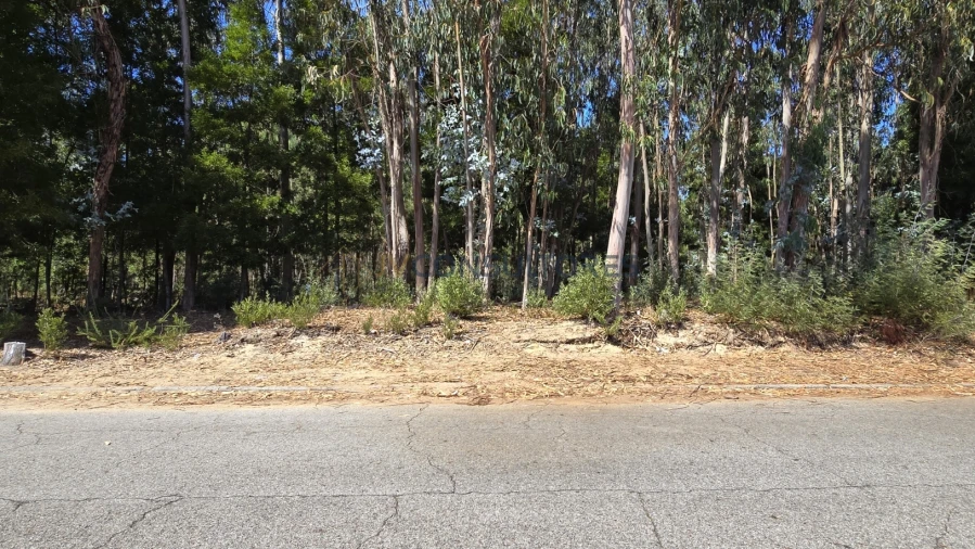 Terreno para Venda em Beduído e Veiros Foto 11