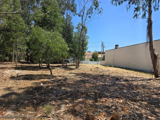 Terreno para Venda em Beduído e Veiros Foto 3