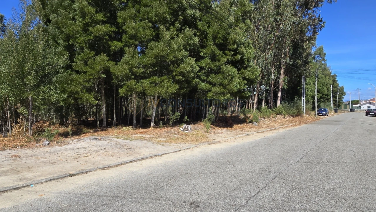 Terreno para Venda em Beduído e Veiros Foto 8