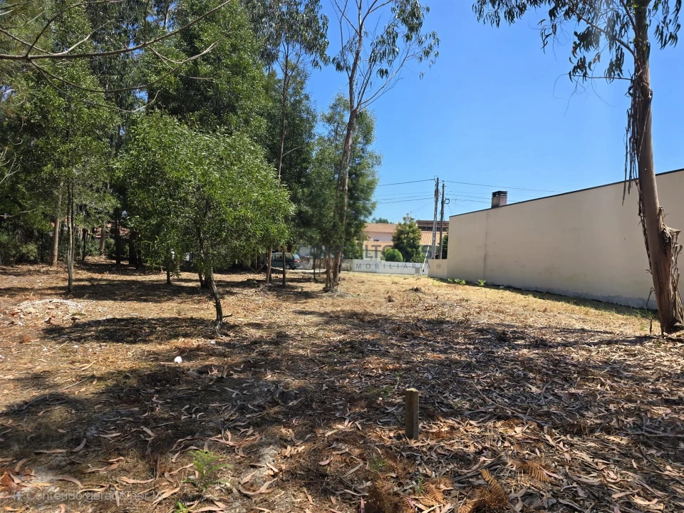 Terreno para Venda em Beduído e Veiros Foto 3