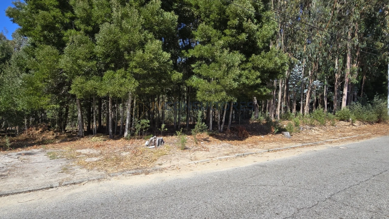 Terreno para Venda em Beduído e Veiros Foto 10