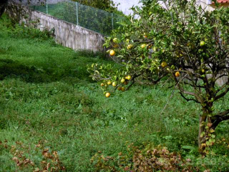 Terreno para Venda em Alhadas Foto 2