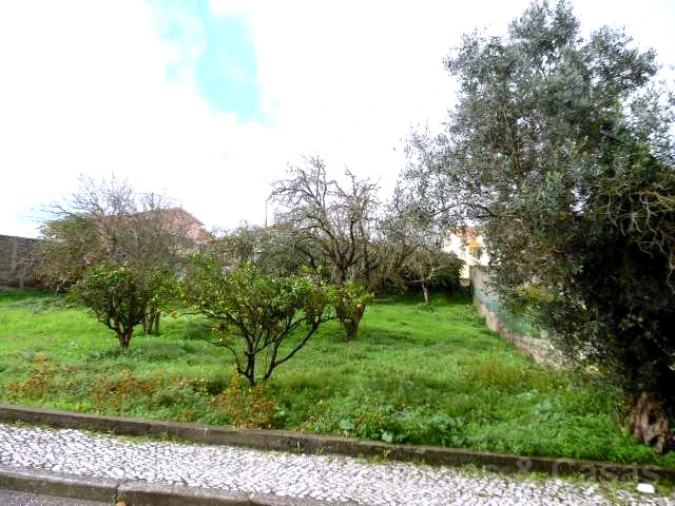 Terreno para Venda em Alhadas Foto 1