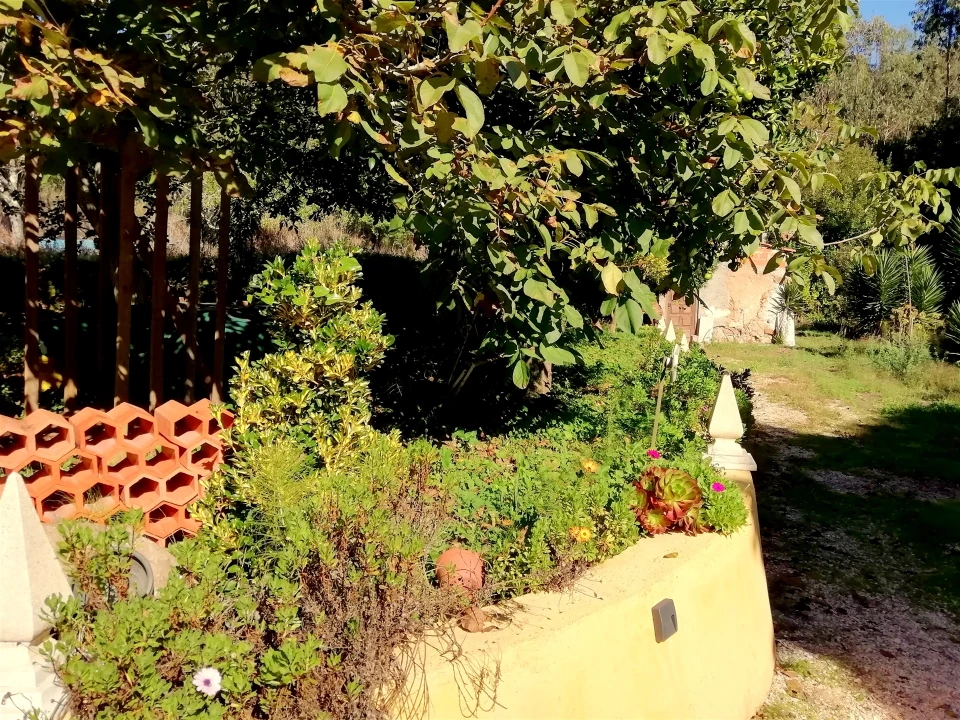 Quinta T5 para Venda em Tavarede Foto 40