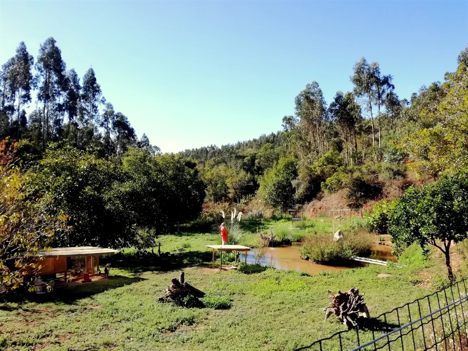 Quinta T5 para Venda em Tavarede Foto 25