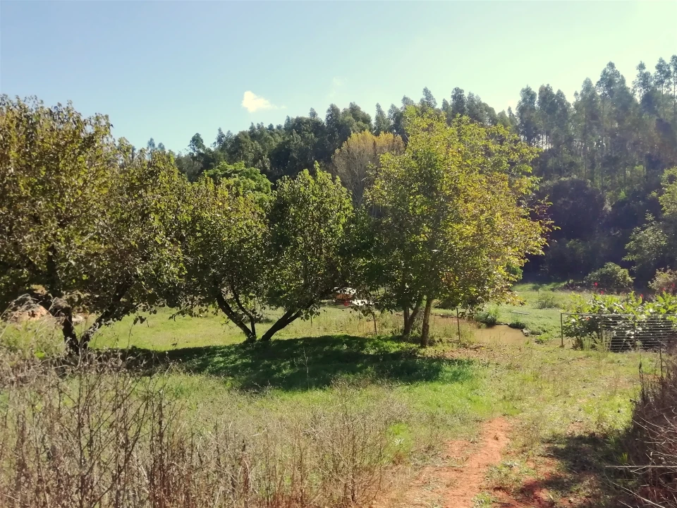 Quinta T5 para Venda em Tavarede Foto 115