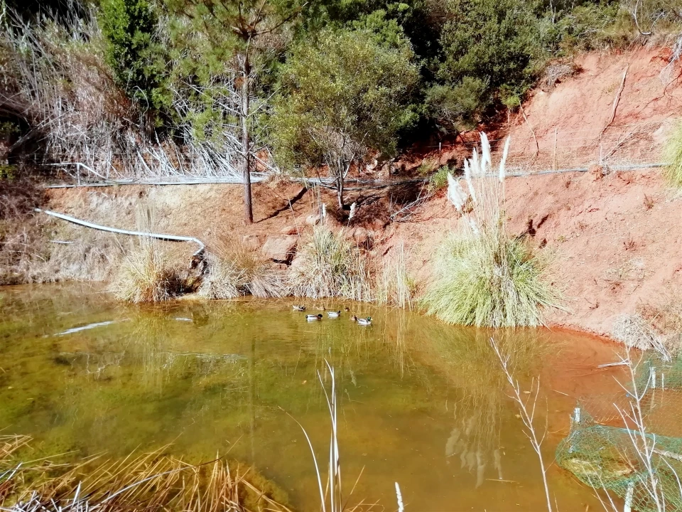 Quinta T5 para Venda em Tavarede Foto 119