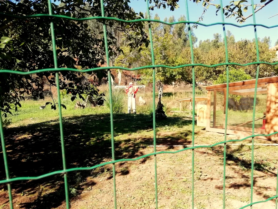 Quinta T5 para Venda em Tavarede Foto 36