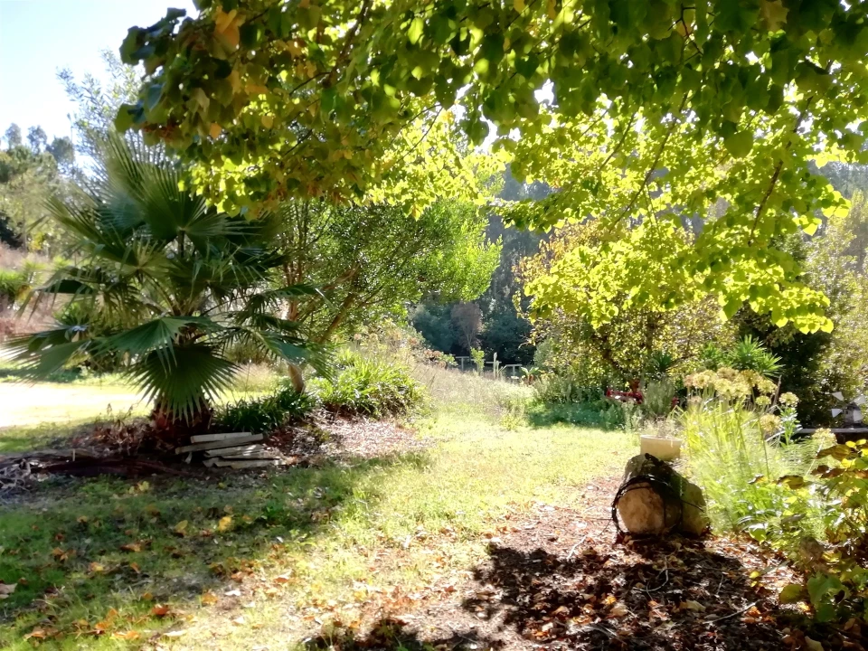 Quinta T5 para Venda em Tavarede Foto 5