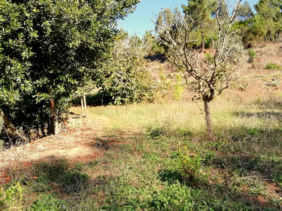 Quinta T5 para Venda em Tavarede Foto 33