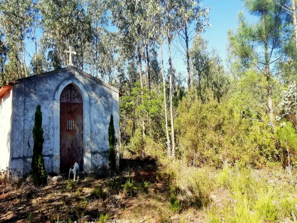Quinta T5 para Venda em Tavarede Foto 123