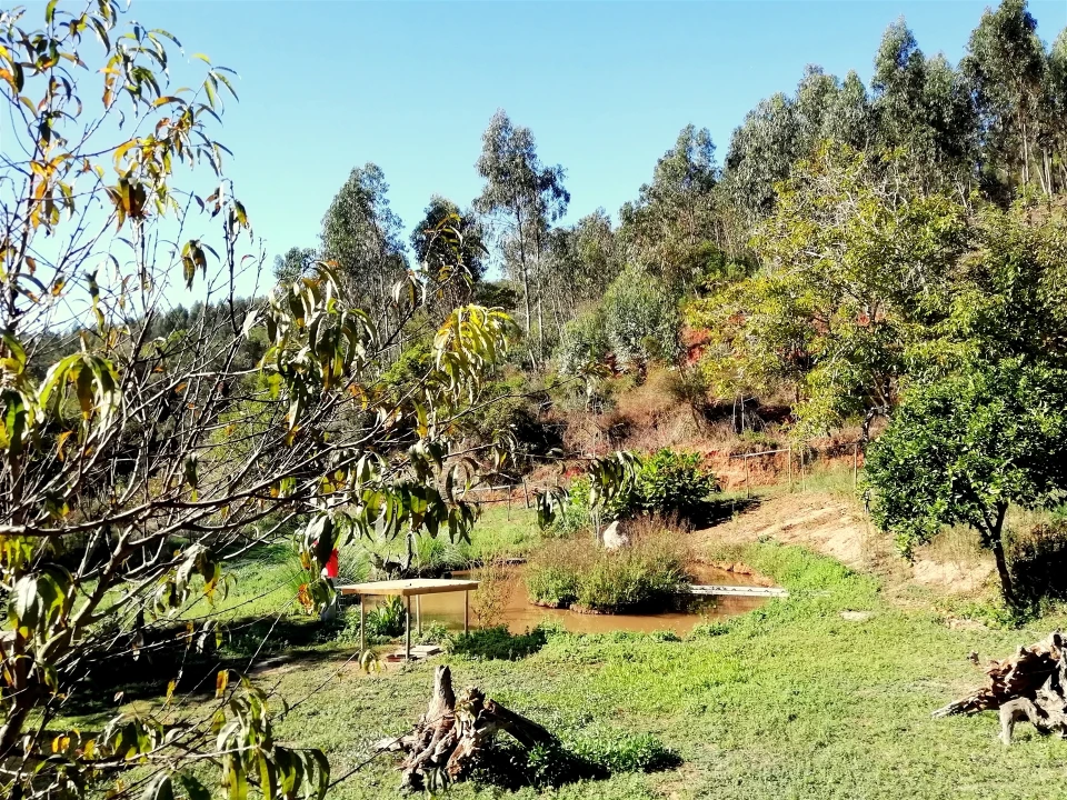 Quinta T5 para Venda em Tavarede Foto 27