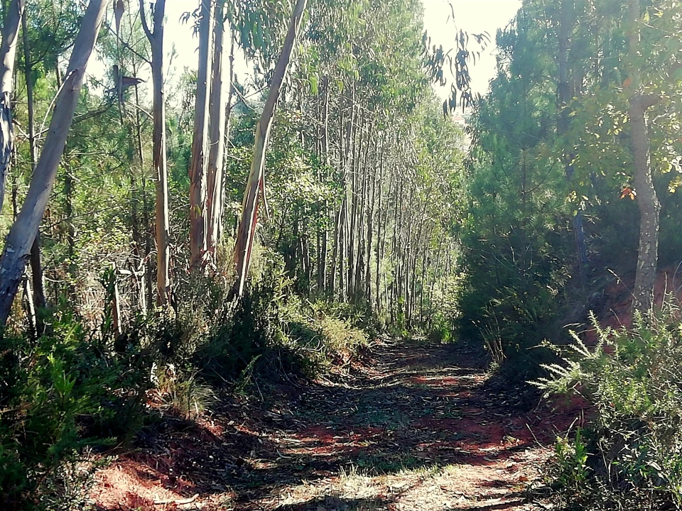 Quinta T5 para Venda em Tavarede Foto 121