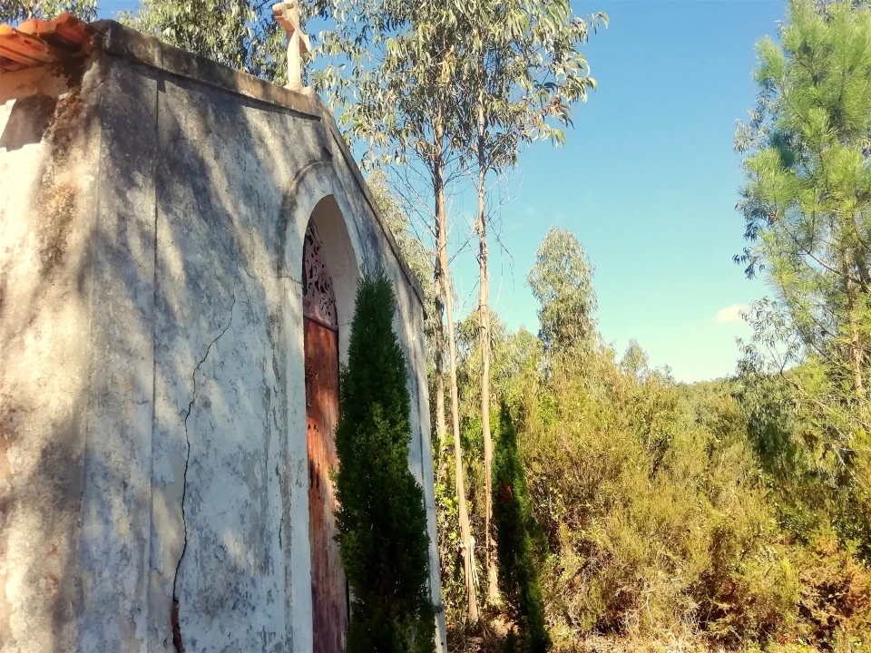 Quinta T5 para Venda em Tavarede Foto 127