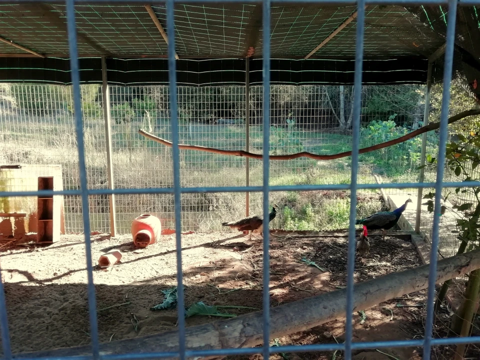 Quinta T5 para Venda em Tavarede Foto 35