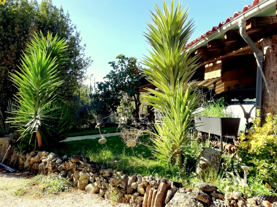 Quinta T5 para Venda em Tavarede Foto 1