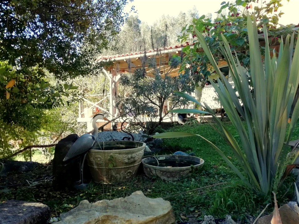 Quinta T5 para Venda em Tavarede Foto 17