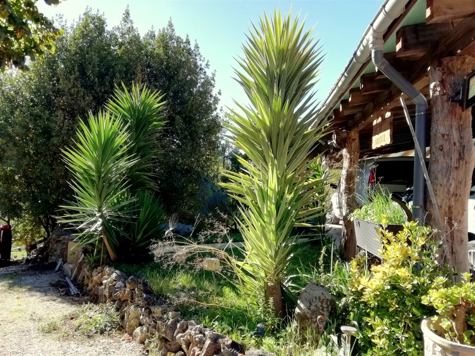 Quinta T5 para Venda em Tavarede Foto 12