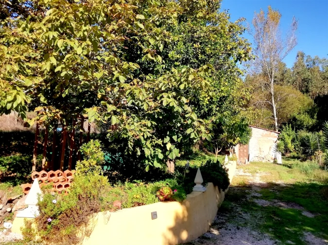 Quinta T5 para Venda em Tavarede Foto 16