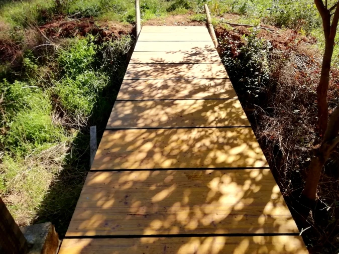 Quinta T5 para Venda em Tavarede Foto 35