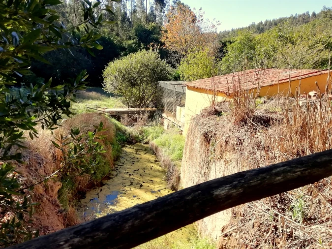 Quinta T5 para Venda em Tavarede Foto 31