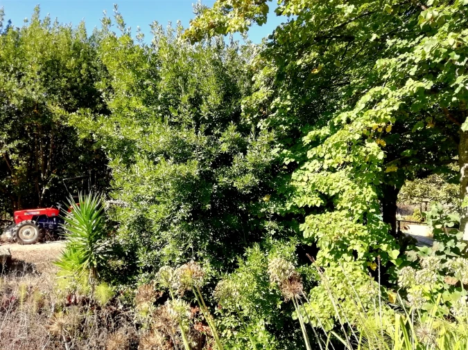 Quinta T5 para Venda em Tavarede Foto 8