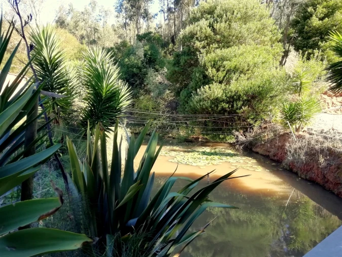 Quinta T5 para Venda em Tavarede Foto 9