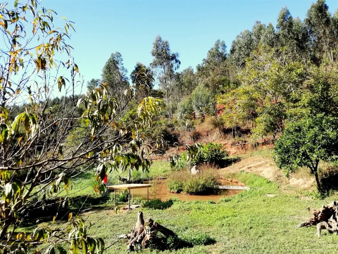 Quinta T5 para Venda em Tavarede Foto 28