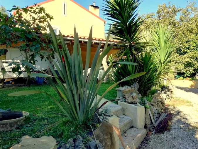 Quinta T5 para Venda em Tavarede Foto 14