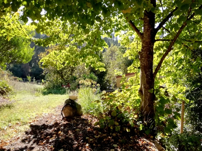 Quinta T5 para Venda em Tavarede Foto 6