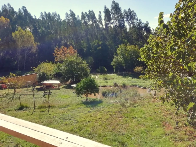 Quinta T5 para Venda em Tavarede Foto 42