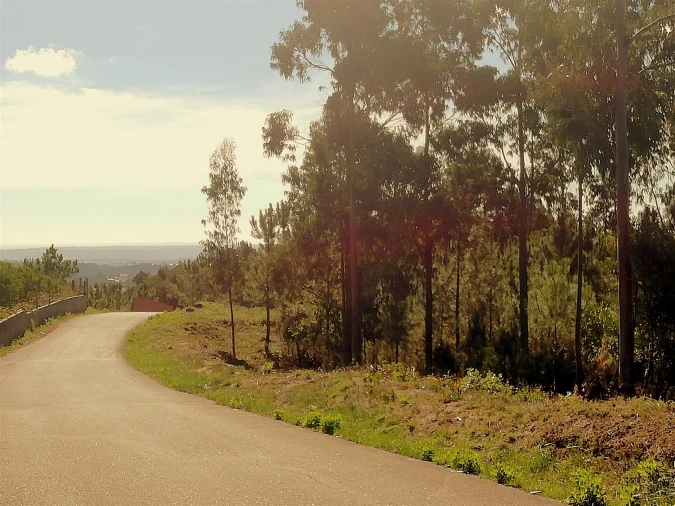 Quinta T5 para Venda em Tavarede Foto 122