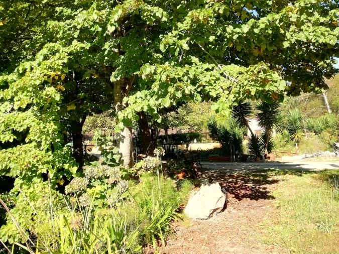 Quinta T5 para Venda em Tavarede Foto 7