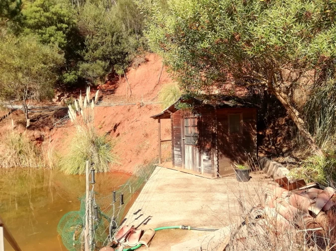 Quinta T5 para Venda em Tavarede Foto 118