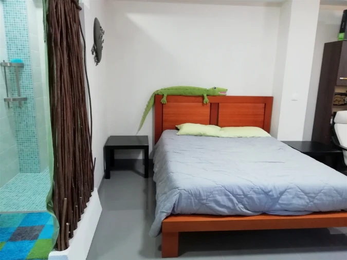 Quinta T5 para Venda em Tavarede Foto 69