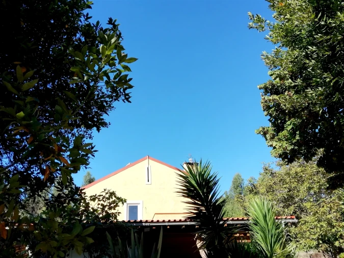 Quinta T5 para Venda em Tavarede Foto 40